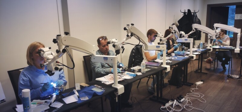 Obturacja systemu endodontycznego metodą termiczną