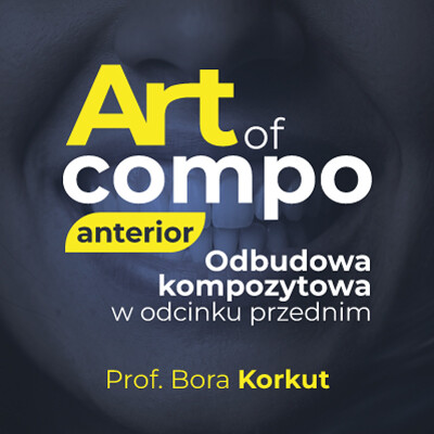 Art. Of Compo: Anterior