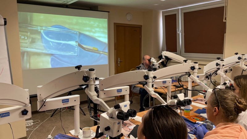 Nowoczesna endodoncja vs biomechanika zęba
