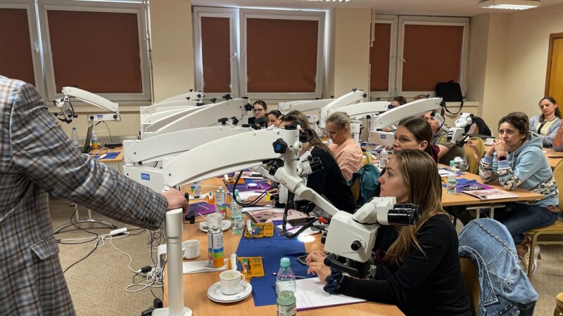 Nowoczesna endodoncja vs biomechanika zęba