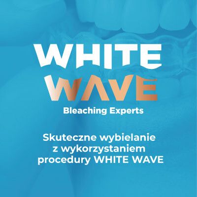 Szkolenie White Wave Experts
