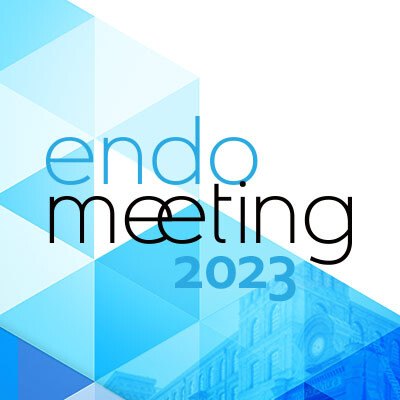 Endomeeting 2023